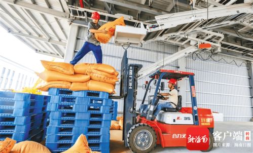 海南洋浦 澳斯卡國際糧油加工廠主生產(chǎn)線試生產(chǎn)