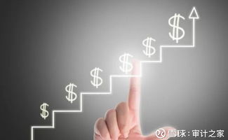 審計透視 汽車制造業(yè)公司IPO及年報審計實踐——以甲公司為例